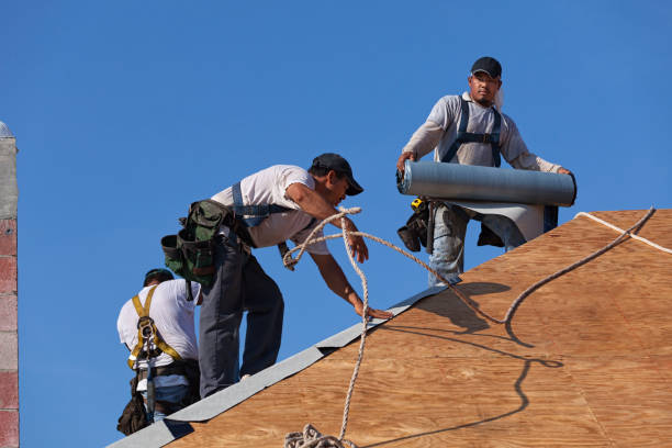 Best Roof Gutter Cleaning  in Wellsville, UT